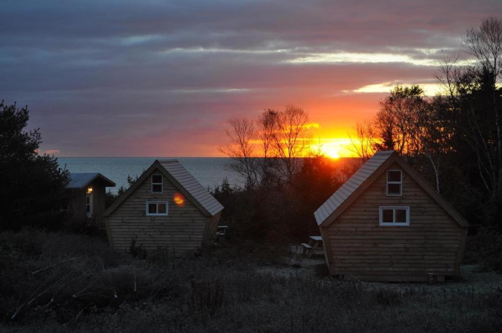 The Zzzz Moose Camping Cabins Birch Plain Exterior foto